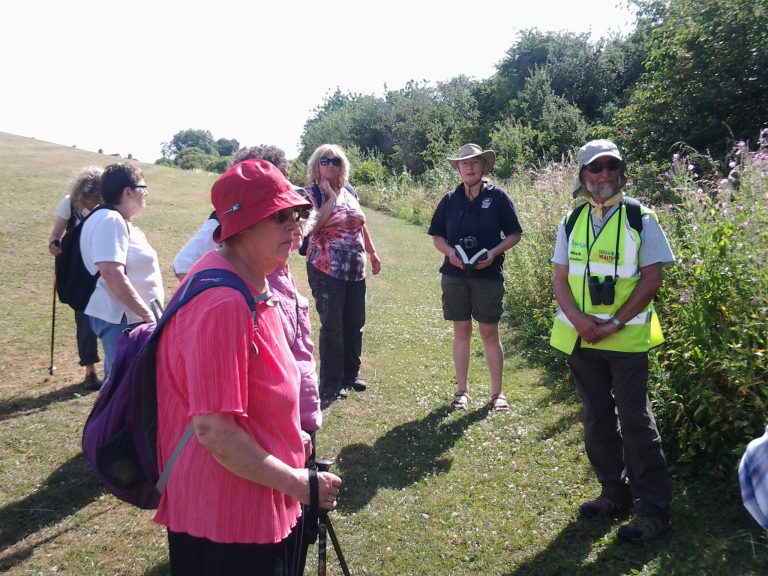 A group of people in hats in a field.