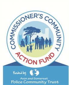 Commissioner's Community Action Fund